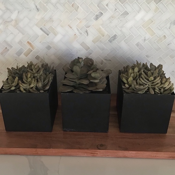Three Faux Succulents In Distressed Metal Planters - Picture 6 of 6